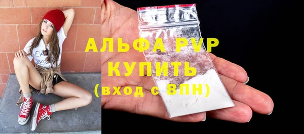 метадон Богданович