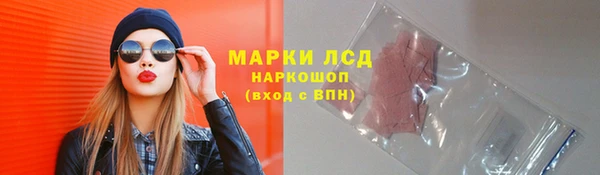 метадон Богданович