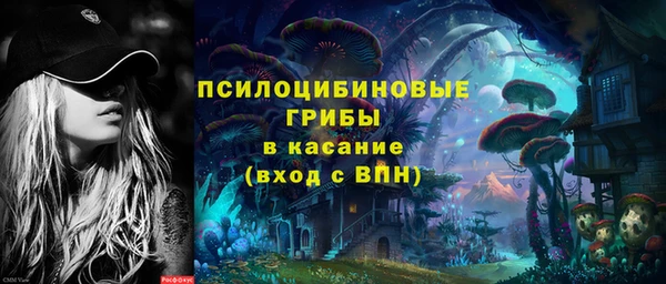 MDMA Богородицк