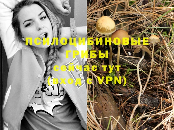 альфа пвп VHQ Белокуриха