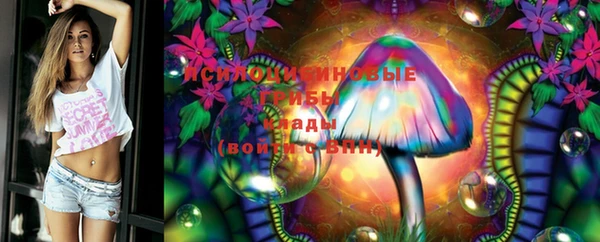 MDMA Богородицк