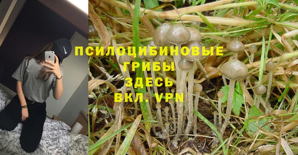 альфа пвп VHQ Белокуриха