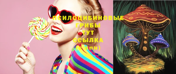 метадон Богданович