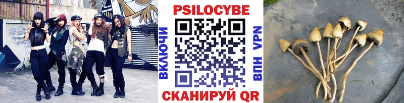 Псилоцибиновые грибы Cubensis  Купить закладки  Харабали 